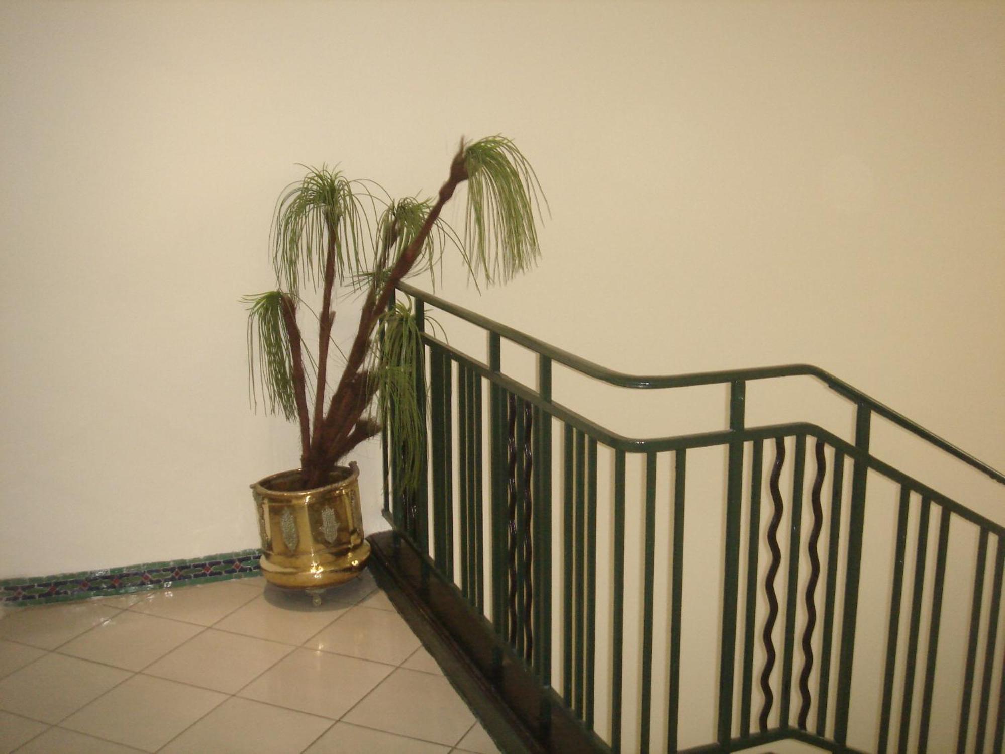 Hotel Olympic Φεζ Εξωτερικό φωτογραφία